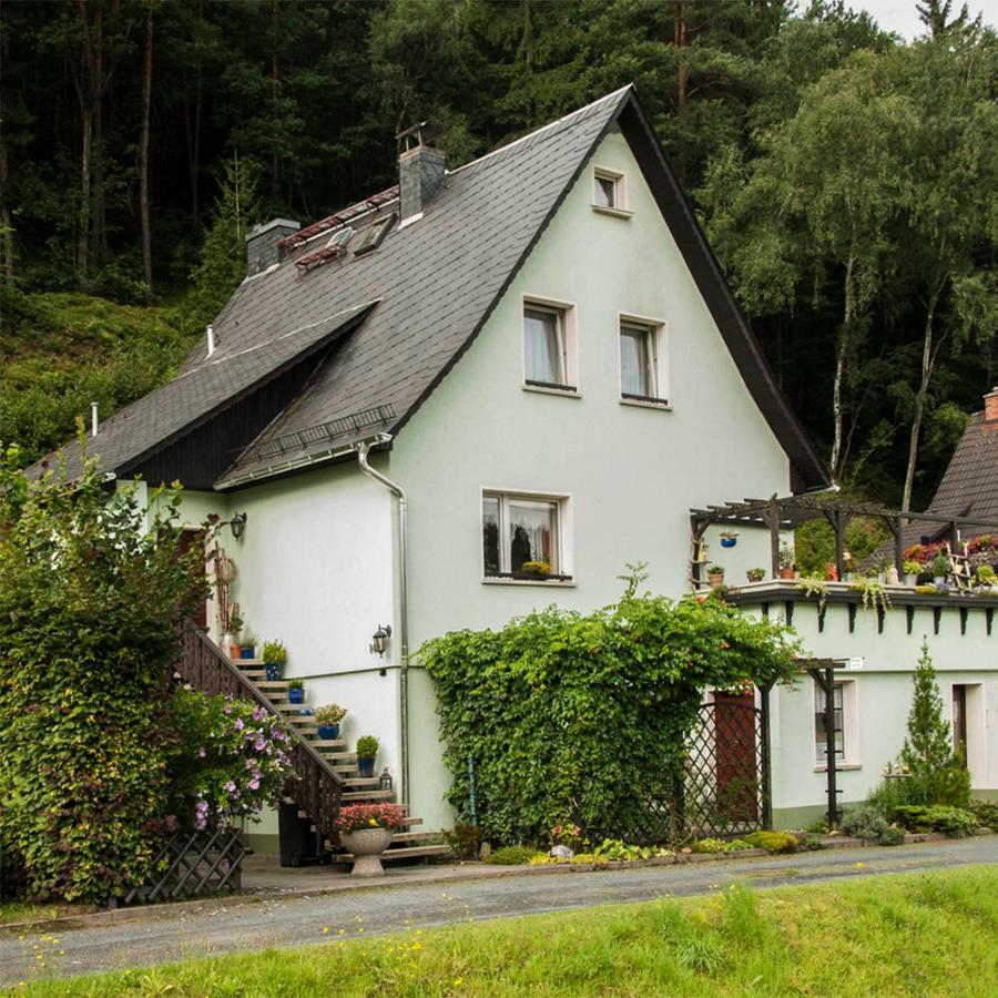 Henker Apartment Bad Schandau